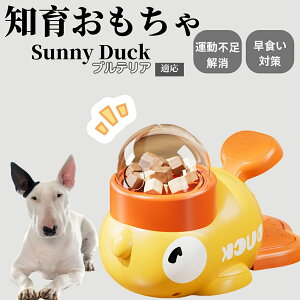 �y10�{�|�C���g�z�m�狋�a�� ���L�p �������� IQ�P�� �y�b�g�m�� ������ԑ΍� �����ŗV�ׂ�a���ߋ� ���a�� �􂦂�݌v ���Ԓׂ� �t�[�h�g�C �]�g���������� �y�b�g�p�G�T���� �~�j�`��