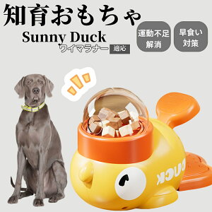 �y10�{�|�C���g�z�m�狋�a�� ���L�p �������� IQ�P�� �y�b�g�m�� ������ԑ΍� �����ŗV�ׂ�a���ߋ� ���a�� �􂦂�݌v ���Ԓׂ� �t�[�h�g�C �]�g���������� �y�b�g�p�G�T���� ���C�}��