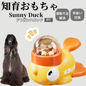 �y10�{�|�C���g�z�m�狋�a�� ���L�p �������� IQ�P�� �y�b�g�m�� ������ԑ΍� �����ŗV�ׂ�a���ߋ� ���a�� �􂦂�݌v ���Ԓׂ� �t�[�h�g�C �]�g���������� �y�b�g�p�G�T���� �A�t�K��