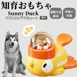 �y10�{�|�C���g�z�m�狋�a�� ���L�p �������� IQ�P�� �y�b�g�m�� ������ԑ΍� �����ŗV�ׂ�a���ߋ� ���a�� �􂦂�݌v ���Ԓׂ� �t�[�h�g�C �]�g���������� �y�b�g�p�G�T���� �A���X�J