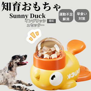 �y10�{�|�C���g�z�m�狋�a�� ���L�p �������� IQ�P�� �y�b�g�m�� ������ԑ΍� �����ŗV�ׂ�a���ߋ� ���a�� �􂦂�݌v ���Ԓׂ� �t�[�h�g�C �]�g���������� �y�b�g�p�G�T���� �C���O��