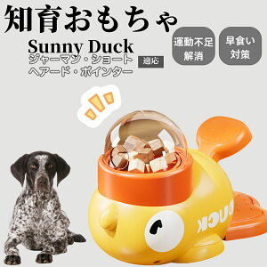 �y10�{�|�C���g�z�m�狋�a�� ���L�p �������� IQ�P�� �y�b�g�m�� ������ԑ΍� �����ŗV�ׂ�a���ߋ� ���a�� �􂦂�݌v ���Ԓׂ� �t�[�h�g�C �]�g���������� �y�b�g�p�G�T���� �W���[�}