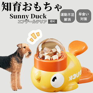 �y10�{�|�C���g�z�m�狋�a�� ���L�p �������� IQ�P�� �y�b�g�m�� ������ԑ΍� �����ŗV�ׂ�a���ߋ� ���a�� �􂦂�݌v ���Ԓׂ� �t�[�h�g�C �]�g���������� �y�b�g�p�G�T���� �G�A�f�[