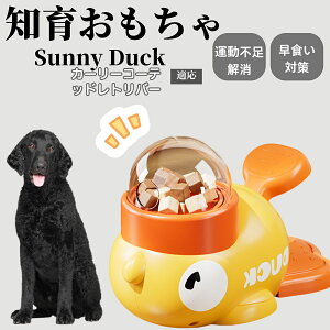 �y10�{�|�C���g�z�m�狋�a�� ���L�p �������� IQ�P�� �y�b�g�m�� ������ԑ΍� �����ŗV�ׂ�a���ߋ� ���a�� �􂦂�݌v ���Ԓׂ� �t�[�h�g�C �]�g���������� �y�b�g�p�G�T���� �J�[���[