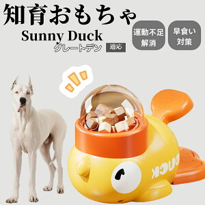 �y10�{�|�C���g�z�m�狋�a�� ���L�p �������� IQ�P�� �y�b�g�m�� ������ԑ΍� �����ŗV�ׂ�a���ߋ� ���a�� �􂦂�݌v ���Ԓׂ� �t�[�h�g�C �]�g���������� �y�b�g�p�G�T���� �O���[�g