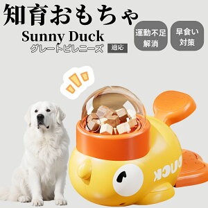 �y10�{�|�C���g�z�m�狋�a�� ���L�p �������� IQ�P�� �y�b�g�m�� ������ԑ΍� �����ŗV�ׂ�a���ߋ� ���a�� �􂦂�݌v ���Ԓׂ� �t�[�h�g�C �]�g���������� �y�b�g�p�G�T���� �O���[�g