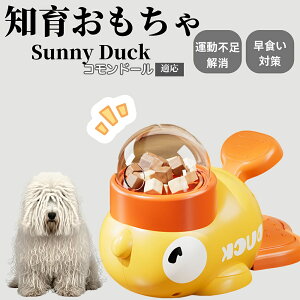 �y10�{�|�C���g�z�m�狋�a�� ���L�p �������� IQ�P�� �y�b�g�m�� ������ԑ΍� �����ŗV�ׂ�a���ߋ� ���a�� �􂦂�݌v ���Ԓׂ� �t�[�h�g�C �]�g���������� �y�b�g�p�G�T���� �R�����h