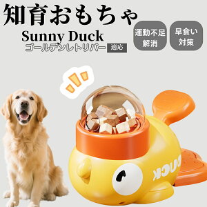 �y10�{�|�C���g�z�m�狋�a�� ���L�p �������� IQ�P�� �y�b�g�m�� ������ԑ΍� �����ŗV�ׂ�a���ߋ� ���a�� �􂦂�݌v ���Ԓׂ� �t�[�h�g�C �]�g���������� �y�b�g�p�G�T���� �S�[���f