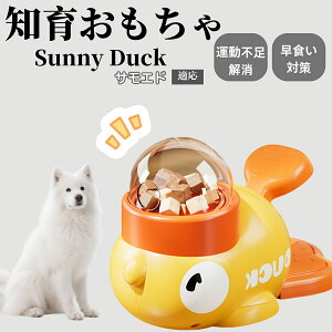 �y10�{�|�C���g�z�m�狋�a�� ���L�p �������� IQ�P�� �y�b�g�m�� ������ԑ΍� �����ŗV�ׂ�a���ߋ� ���a�� �􂦂�݌v ���Ԓׂ� �t�[�h�g�C �]�g���������� �y�b�g�p�G�T���� �T���G�h