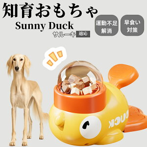 �y10�{�|�C���g�z�m�狋�a�� ���L�p �������� IQ�P�� �y�b�g�m�� ������ԑ΍� �����ŗV�ׂ�a���ߋ� ���a�� �􂦂�݌v ���Ԓׂ� �t�[�h�g�C �]�g���������� �y�b�g�p�G�T���� �T���[�L