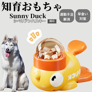 �y10�{�|�C���g�z�m�狋�a�� ���L�p �������� IQ�P�� �y�b�g�m�� ������ԑ΍� �����ŗV�ׂ�a���ߋ� ���a�� �􂦂�݌v ���Ԓׂ� �t�[�h�g�C �]�g���������� �y�b�g�p�G�T���� �V�x���A