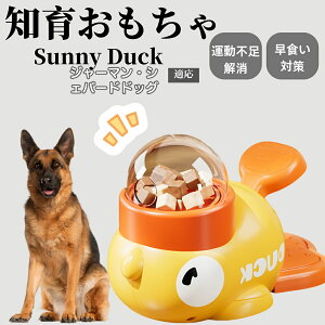 �y10�{�|�C���g�z�m�狋�a�� ���L�p �������� IQ�P�� �y�b�g�m�� ������ԑ΍� �����ŗV�ׂ�a���ߋ� ���a�� �􂦂�݌v ���Ԓׂ� �t�[�h�g�C �]�g���������� �y�b�g�p�G�T���� �W���[�}