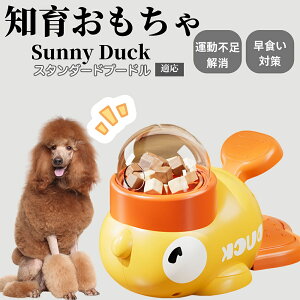 �y10�{�|�C���g�z�m�狋�a�� ���L�p �������� IQ�P�� �y�b�g�m�� ������ԑ΍� �����ŗV�ׂ�a���ߋ� ���a�� �􂦂�݌v ���Ԓׂ� �t�[�h�g�C �]�g���������� �y�b�g�p�G�T���� �X�^���_