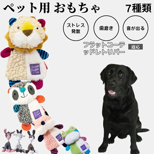 p ނ [vgC Rbg   ^ q vőϋv 􂦂 Sf V XgXZbg v[gɂœK tbgR[eb