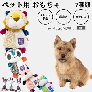 p ނ [vgC Rbg   ^ q vőϋv 􂦂 Sf V XgXZbg v[gɂœK m[b`eA