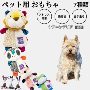 p ނ [vgC Rbg   ^ q vőϋv 􂦂 Sf V XgXZbg v[gɂœK PA[eA 