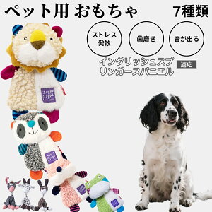 p ނ [vgC Rbg   ^ q vőϋv 􂦂 Sf V XgXZbg v[gɂœK CObVX