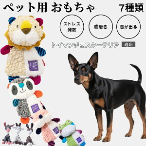 p ނ [vgC Rbg   ^ q vőϋv 􂦂 Sf V XgXZbg v[gɂœK gC}`FX^