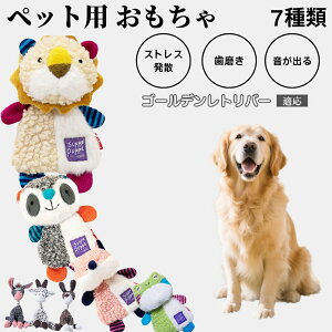 p ނ [vgC Rbg   ^ q vőϋv 􂦂 Sf V XgXZbg v[gɂœK S[fg