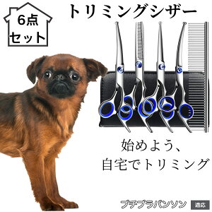 y10{|Cgzg~OVU[ 6_Zbg  L XLoT~ ZjO Jbg nT~ R[t ybgpg~O S?vΉ ^ ^ ^ peVU[ v`u