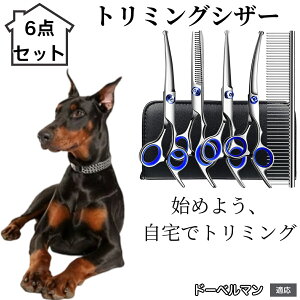 y10{|Cgzg~OVU[ 6_Zbg  L XLoT~ ZjO Jbg nT~ R[t ybgpg~O S?vΉ ^ ^ ^ peVU[ h[x