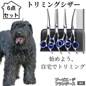 y10{|Cgzg~OVU[ 6_Zbg  L XLoT~ ZjO Jbg nT~ R[t ybgpg~O S?vΉ ^ ^ ^ peVU[ u[r