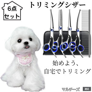 y10{|Cgzg~OVU[ 6_Zbg  L XLoT~ ZjO Jbg nT~ R[t ybgpg~O S?vΉ ^ ^ ^ peVU[ }`