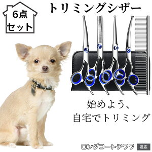 y10{|Cgzg~OVU[ 6_Zbg  L XLoT~ ZjO Jbg nT~ R[t ybgpg~O S?vΉ ^ ^ ^ peVU[ O