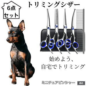 �y10�{�|�C���g�z�g���~���O�V�U�[ 6�_�Z�b�g �� �L �X�L�o�T�~ �Z�j���O �J�b�g �n�T�~ �R�[���t�� �y�b�g�p�g���~���O ���S��?�v���Ή� ���^�� ���^�� ��^�� �������p���e�V�U�[ �~�j�`