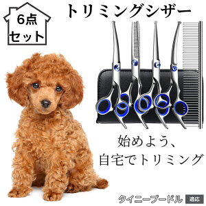 �y5�{�|�C���g�z �g���~���O�V�U�[ 6�_�Z�b�g �� �L �X�L�o�T�~ �Z�j���O �J�b�g �n�T�~ �R�[���t�� �y�b�g�p�g���~���O ���S��?�v���Ή� ���^�� ���^�� ��^�� �������p���e�V�U�[ �^�C�j