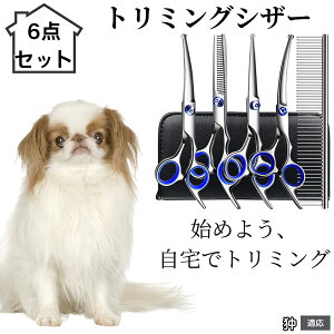 y10{|Cgzg~OVU[ 6_Zbg  L XLoT~ ZjO Jbg nT~ R[t ybgpg~O S?vΉ ^ ^ ^ peVU[ ༌