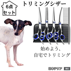 y10{|Cgzg~OVU[ 6_Zbg  L XLoT~ ZjO Jbg nT~ R[t ybgpg~O S?vΉ ^ ^ ^ peVU[ {e