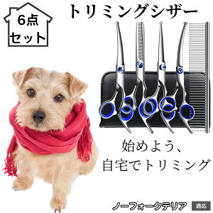 y10{|Cgzg~OVU[ 6_Zbg  L XLoT~ ZjO Jbg nT~ R[t ybgpg~O S?vΉ ^ ^ ^ peVU[ m[t