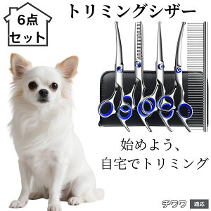 y10{|Cgzg~OVU[ 6_Zbg  L XLoT~ ZjO Jbg nT~ R[t ybgpg~O S?vΉ ^ ^ ^ peVU[ `