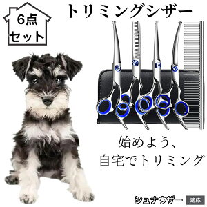 y10{|Cgzg~OVU[ 6_Zbg  L XLoT~ ZjO Jbg nT~ R[t ybgpg~O S?vΉ ^ ^ ^ peVU[ Vi