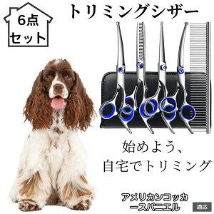 y10{|Cgzg~OVU[ 6_Zbg  L XLoT~ ZjO Jbg nT~ R[t ybgpg~O S?vΉ ^ ^ ^ peVU[ A