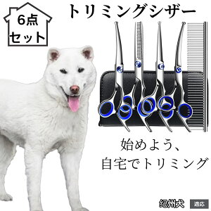 y10{|Cgzg~OVU[ 6_Zbg  L XLoT~ ZjO Jbg nT~ R[t ybgpg~O S?vΉ ^ ^ ^ peVU[ IB