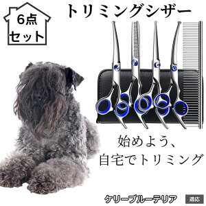 y10{|Cgzg~OVU[ 6_Zbg  L XLoT~ ZjO Jbg nT~ R[t ybgpg~O S?vΉ ^ ^ ^ peVU[ P[