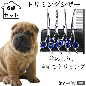 y10{|Cgzg~OVU[ 6_Zbg  L XLoT~ ZjO Jbg nT~ R[t ybgpg~O S?vΉ ^ ^ ^ peVU[ V[