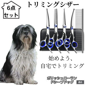 y10{|Cgzg~OVU[ 6_Zbg  L XLoT~ ZjO Jbg nT~ R[t ybgpg~O S?vΉ ^ ^ ^ peVU[ |b