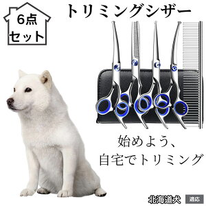 y10{|Cgzg~OVU[ 6_Zbg  L XLoT~ ZjO Jbg nT~ R[t ybgpg~O S?vΉ ^ ^ ^ peVU[ kC