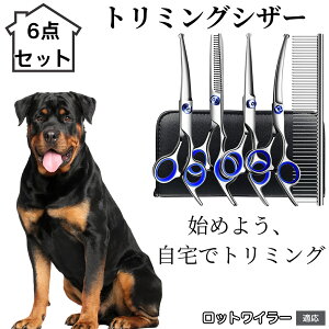 y10{|Cgzg~OVU[ 6_Zbg  L XLoT~ ZjO Jbg nT~ R[t ybgpg~O S?vΉ ^ ^ ^ peVU[ bg