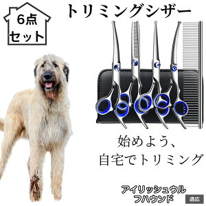 y10{|Cgzg~OVU[ 6_Zbg  L XLoT~ ZjO Jbg nT~ R[t ybgpg~O S?vΉ ^ ^ ^ peVU[ AC