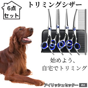 y10{|Cgzg~OVU[ 6_Zbg  L XLoT~ ZjO Jbg nT~ R[t ybgpg~O S?vΉ ^ ^ ^ peVU[ AC