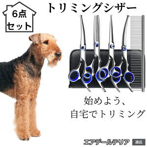 y10{|Cgzg~OVU[ 6_Zbg  L XLoT~ ZjO Jbg nT~ R[t ybgpg~O S?vΉ ^ ^ ^ peVU[ GAf