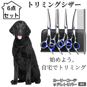 y10{|Cgzg~OVU[ 6_Zbg  L XLoT~ ZjO Jbg nT~ R[t ybgpg~O S?vΉ ^ ^ ^ peVU[ J[