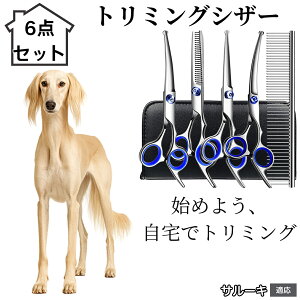 y10{|Cgzg~OVU[ 6_Zbg  L XLoT~ ZjO Jbg nT~ R[t ybgpg~O S?vΉ ^ ^ ^ peVU[ T[