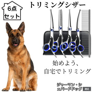 y10{|Cgzg~OVU[ 6_Zbg  L XLoT~ ZjO Jbg nT~ R[t ybgpg~O S?vΉ ^ ^ ^ peVU[ W[