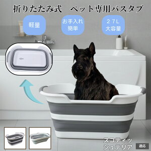 ybgp܂肽݃oX^u L  ^   Vv[ pr炢 t RpNg[ y ^ѕ֗ AEghA ԍOK ȒP XReBbVeA 