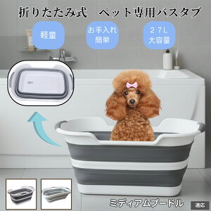 ybgp܂肽݃oX^u L  ^   Vv[ pr炢 t RpNg[ y ^ѕ֗ AEghA ԍOK ȒP ~fBAv[h ~